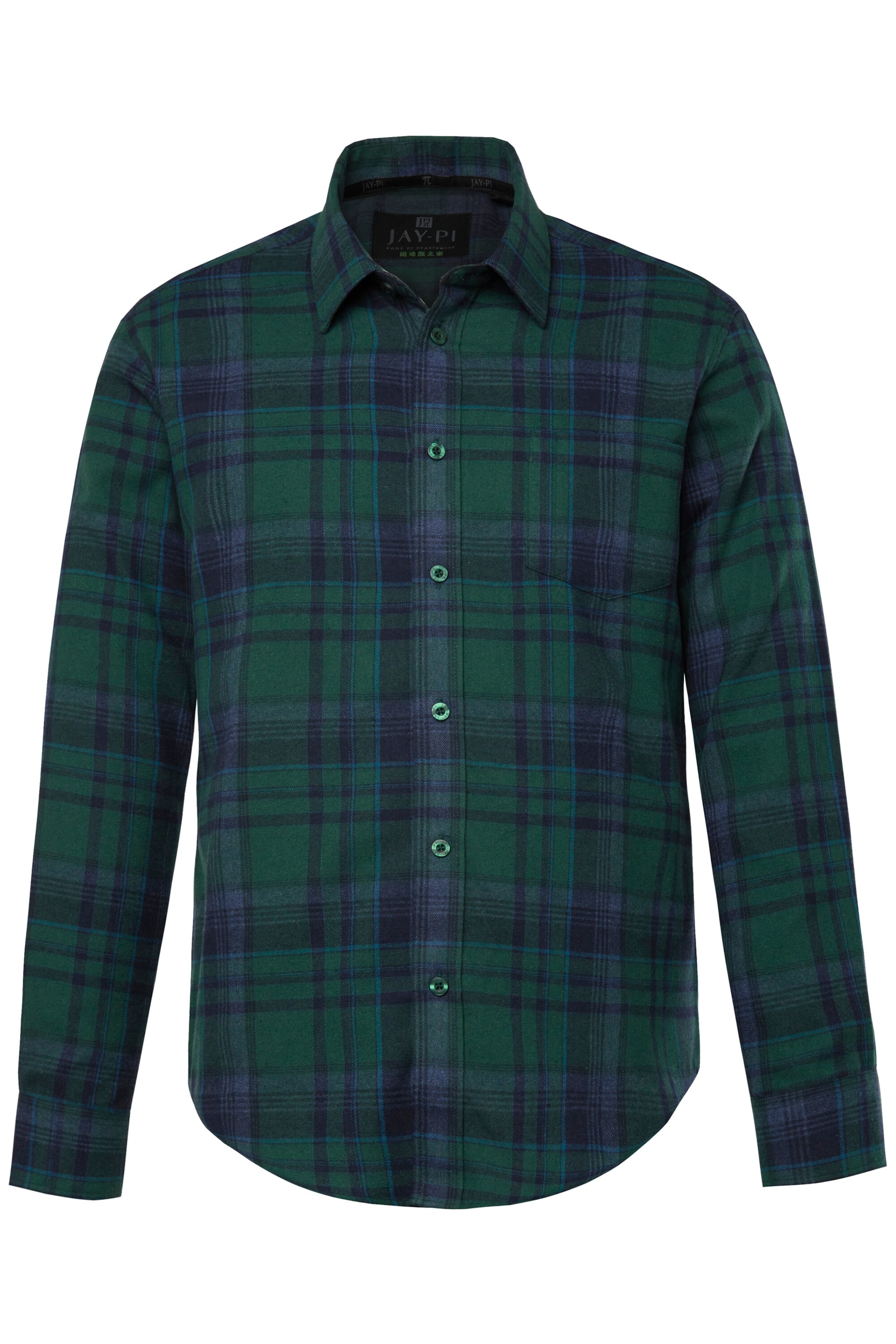 JAY-PI Regular fit Button Up Shirt in Green: front