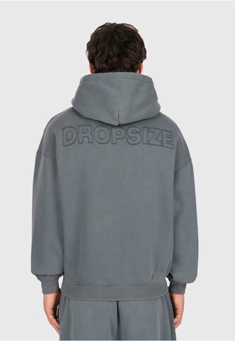 Dropsize Sweatshirt in Grau: Vorderseite