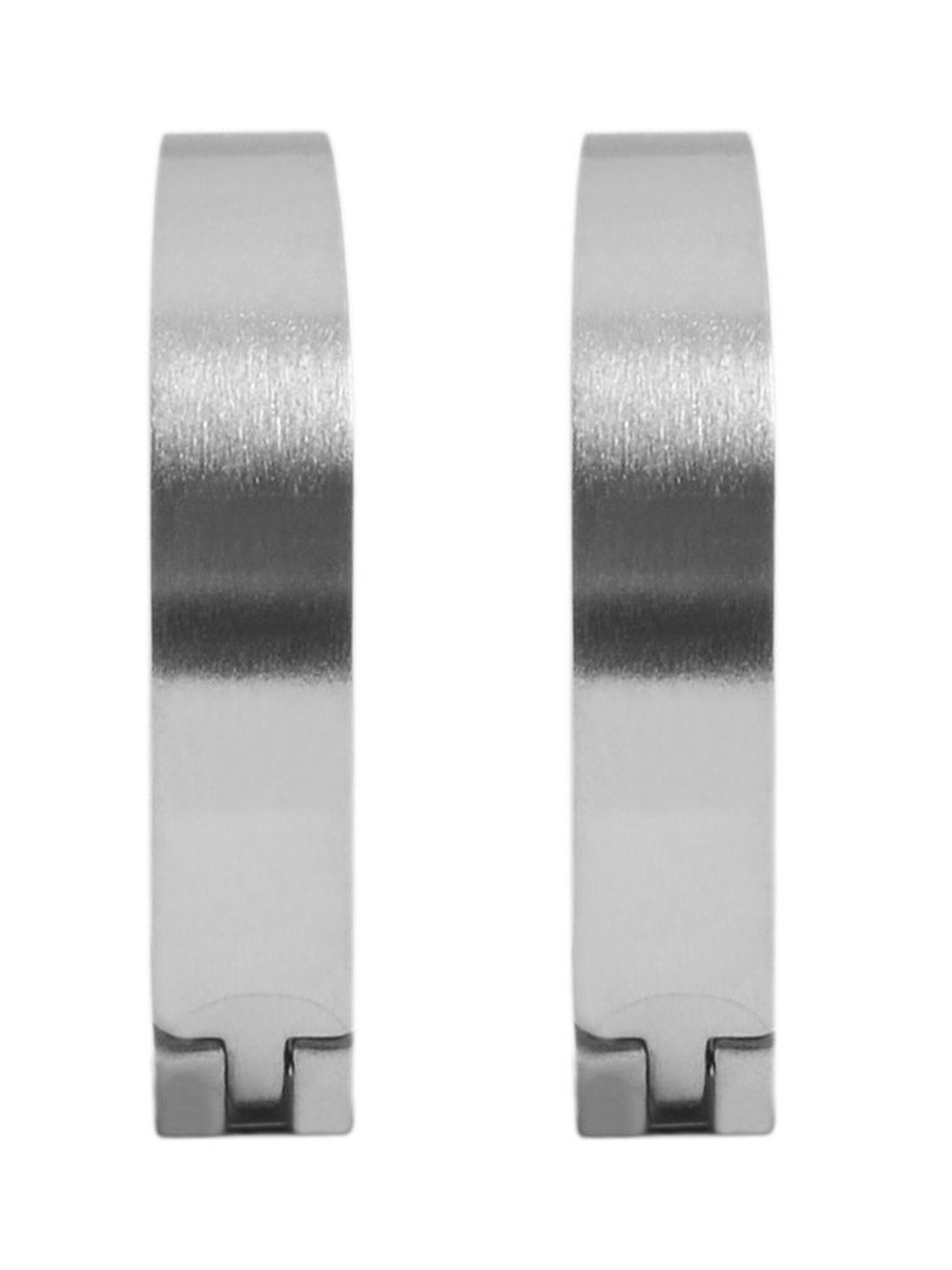 Akzent Earrings 'Inu, hautverträglich' in Silver: front