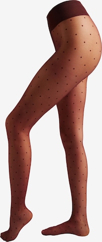 CALZEDONIA Strumpfhose in Schwarz: Vorderseite