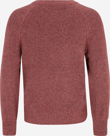 Only Petite Pullover 'EMMA' in Pink
