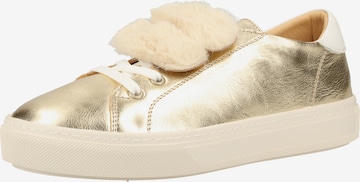 Darkwood Sneaker in Gold: predná strana