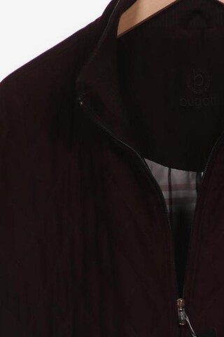 bugatti Jacket & Coat in 5XL in Brown