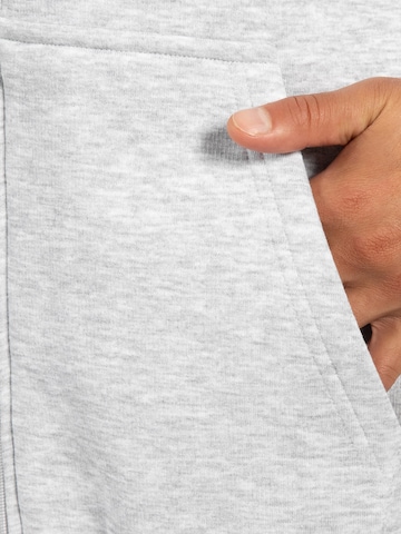 Veste de survêtement Smilodox en gris