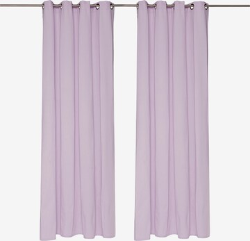 TOM TAILOR Curtains & Drapes in Purple: front