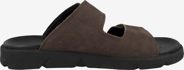 GEOX Mules 'Xand' in Brown