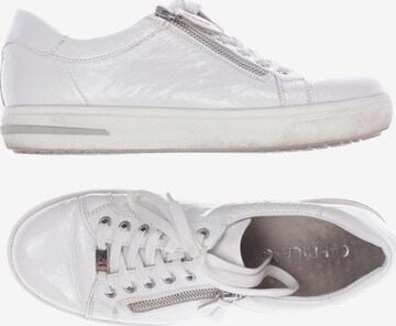 CAPRICE Sneakers & Trainers in 38 in White: front