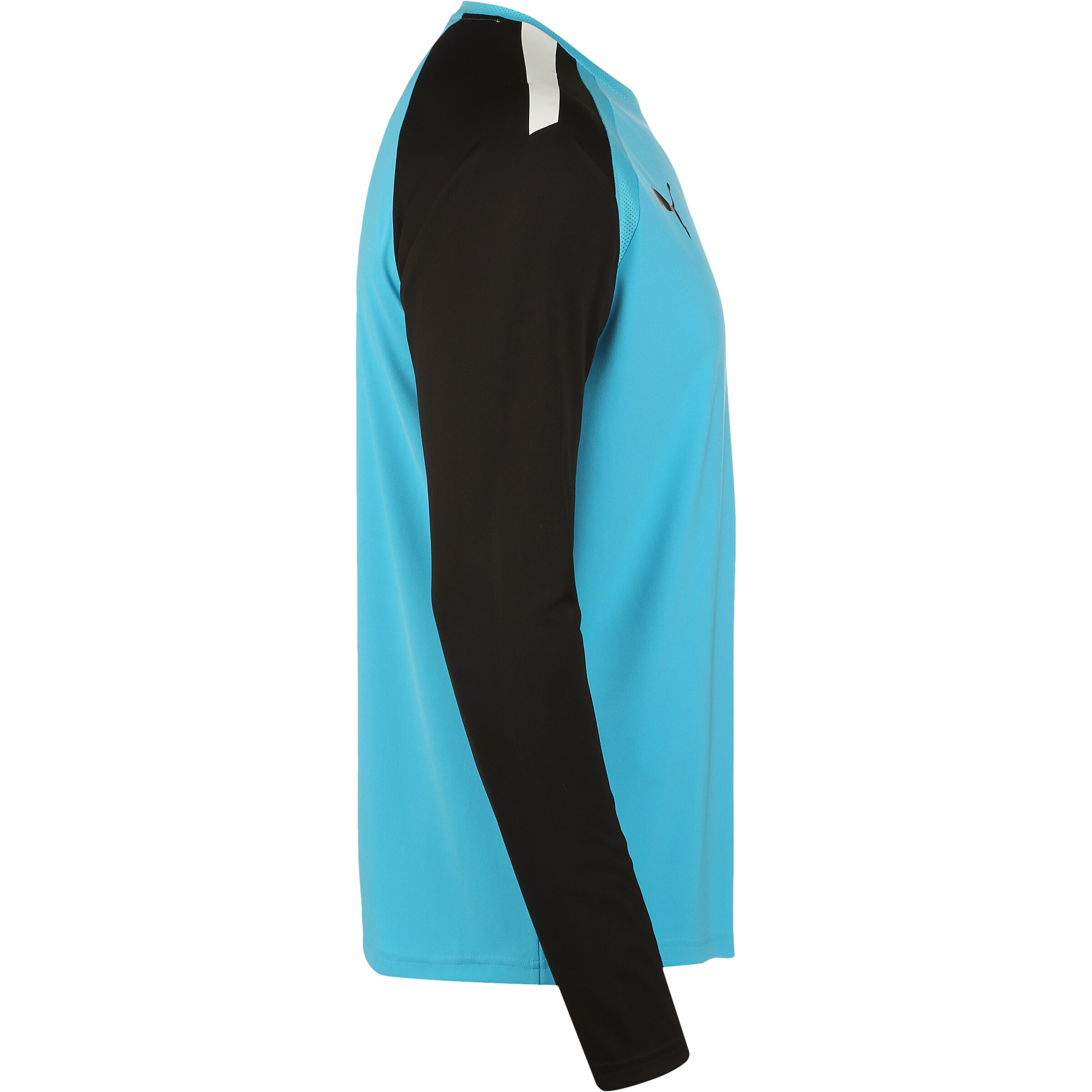 PUMA Jersey 'TeamPacer' in Blue