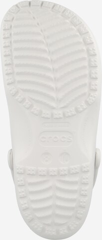 Crocs - Zuecos en blanco