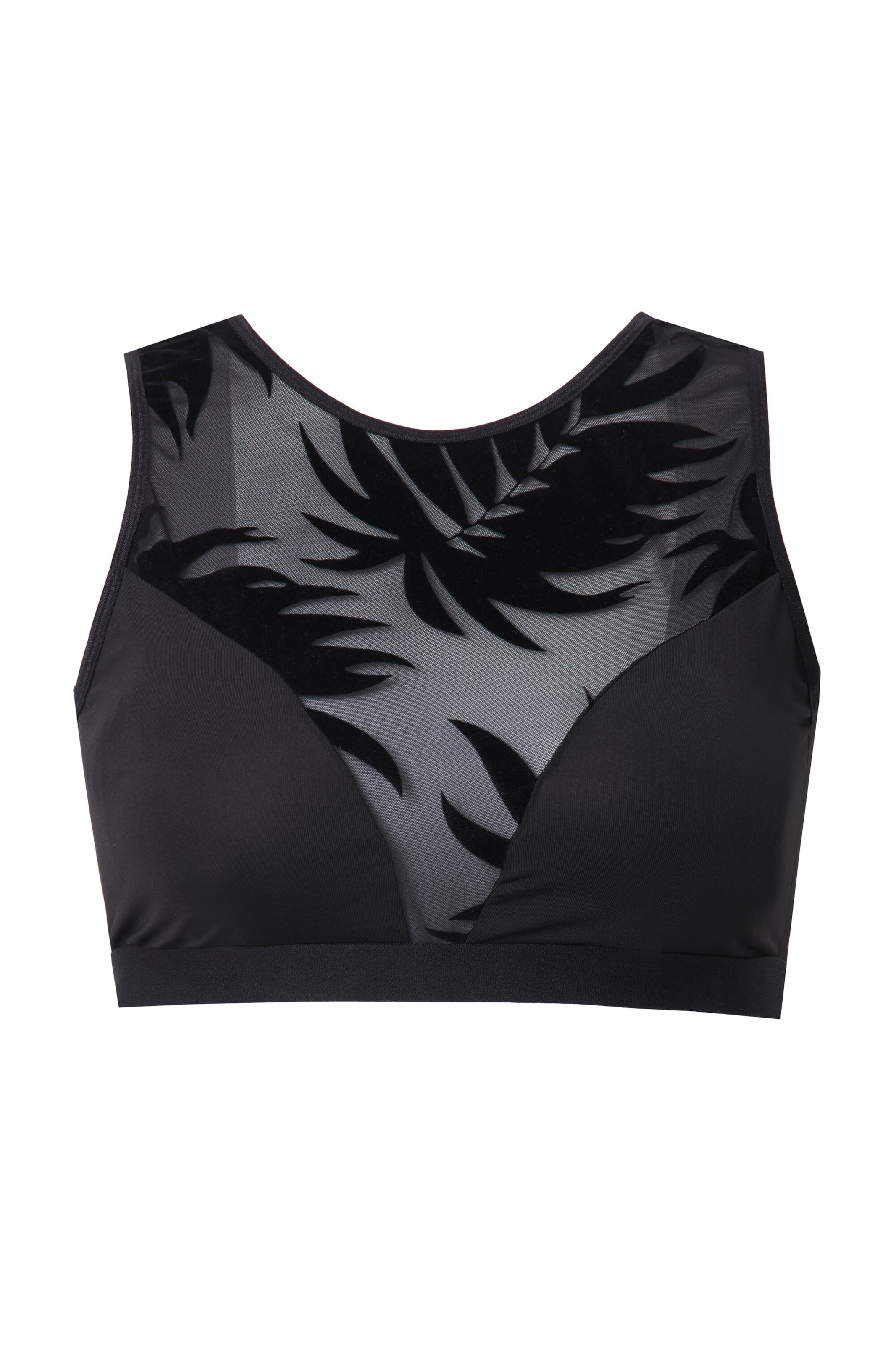 Ulla Popken T-shirt Bra in Black: front