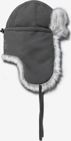Chapeaux 'Arctic Ursa' normani en gris