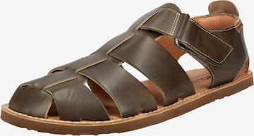 Sandales PIKOLINOS en marron : devant