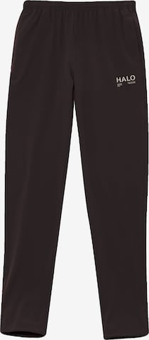 HALO Hose in Braun: Vorderseite