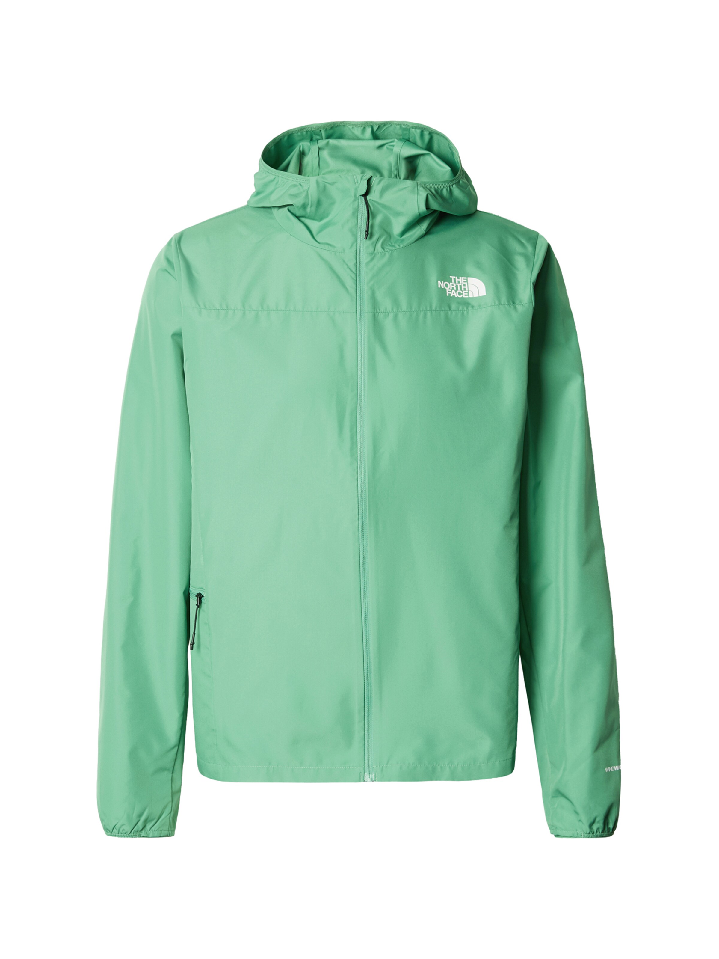 THE NORTH FACE Куртка в спортивном стиле 'FONTANALES' в Зеленый: спереди