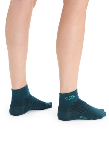 Chaussettes de sport ICEBREAKER en bleu