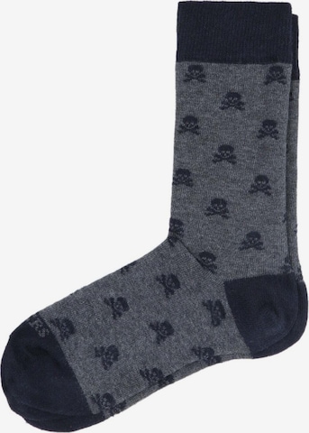 Scalpers Ponožky – šedá: přední strana