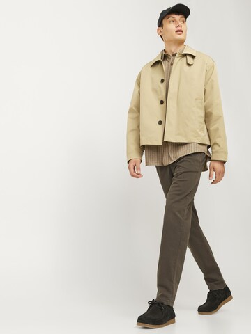 Effilé Pantalon chino 'JPSTAce JJHarlow' JACK & JONES en marron