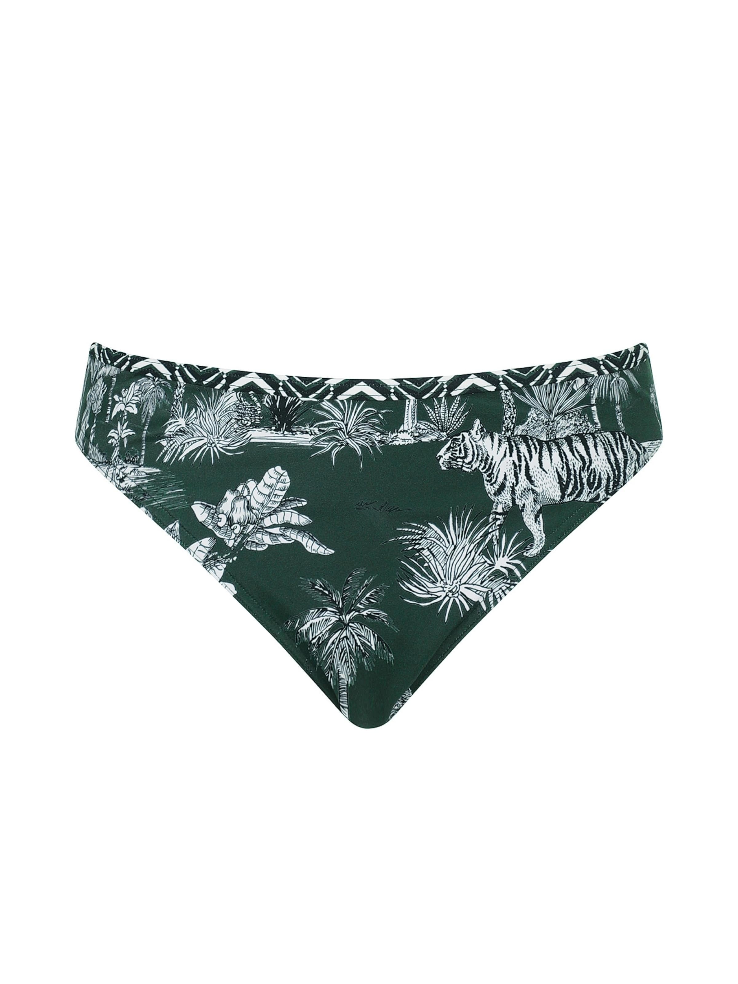 OLYMPIA Bikini Bottoms in Green: front