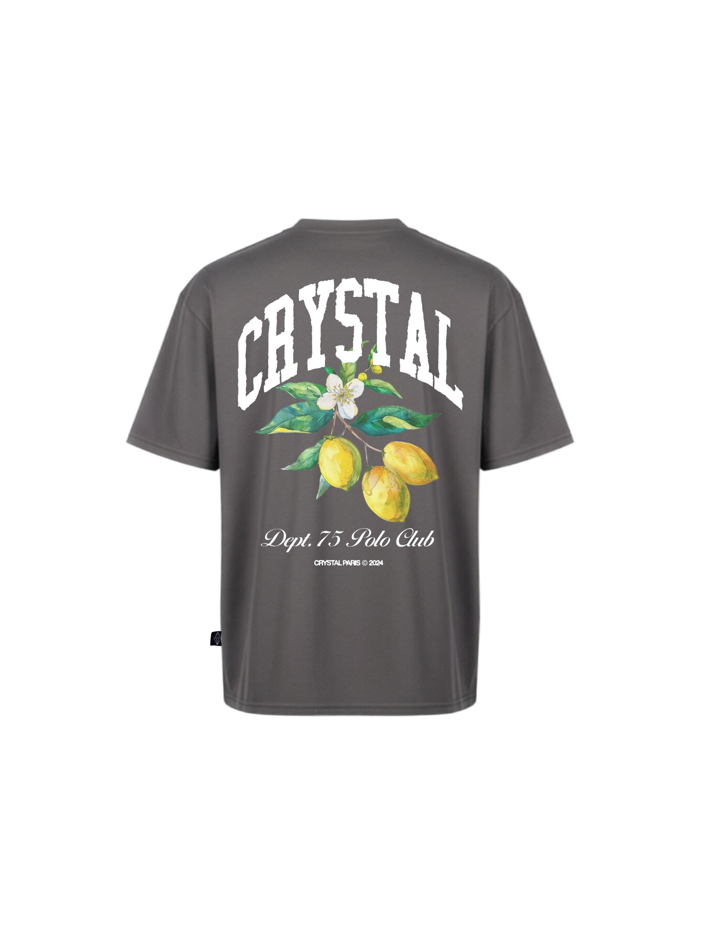 Crystal Paris Shirt 'Polo Club' in Grijs