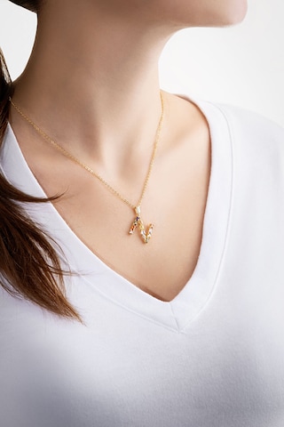 So Chic Ketting in Goud: voorkant