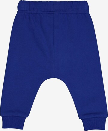 Fred's World by GREEN COTTON Regular Pants in Blue