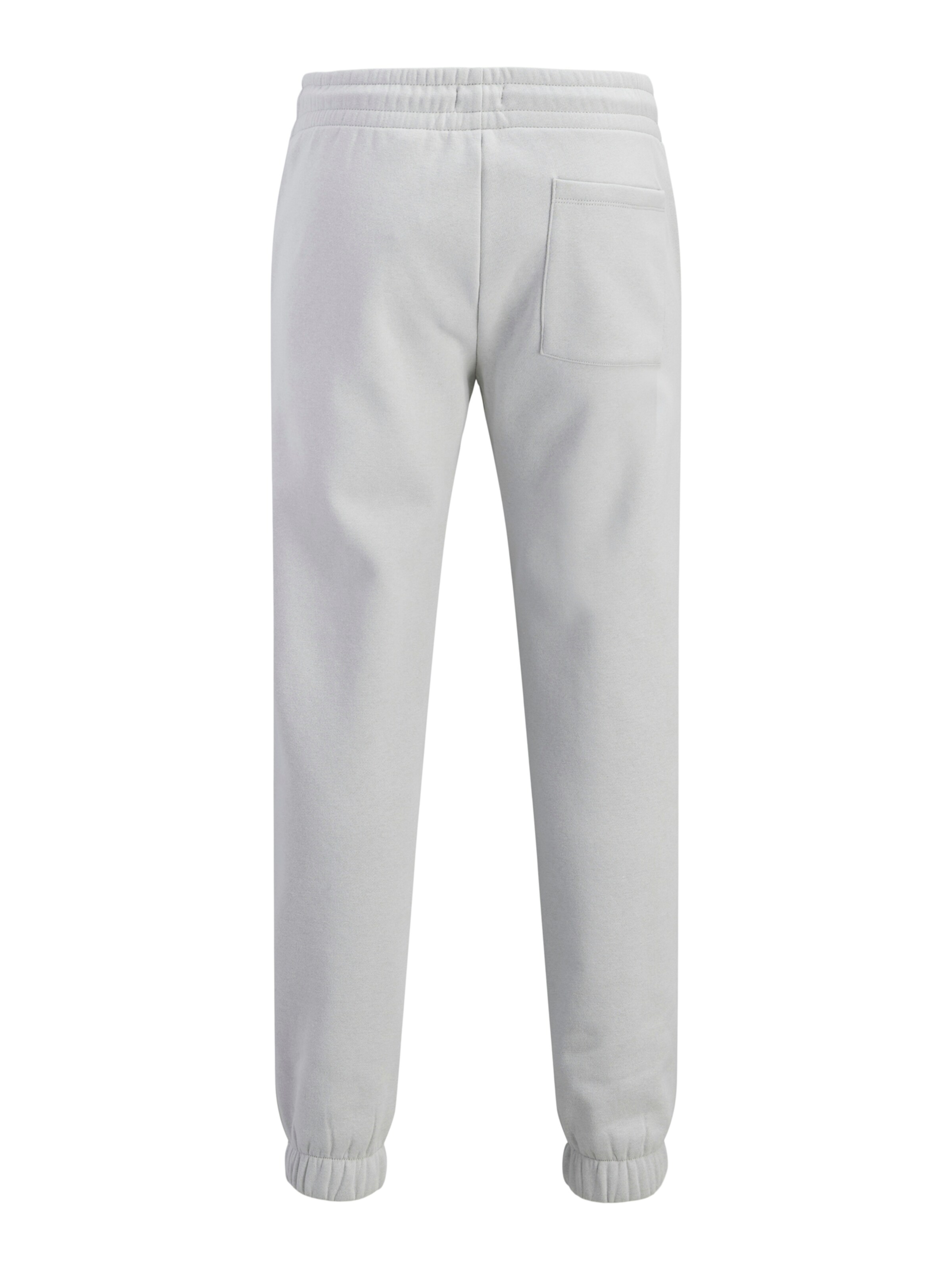 JJ Rebel Tapered Bukser 'JREBGORM' i grå