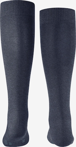FALKE Socks 'Family' in Blue: front