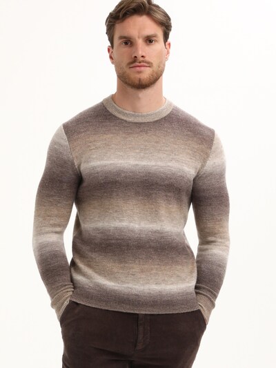 Gabbiano Sweater 'Fashionable' in S in Taupe, Item view