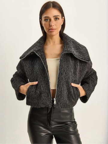 Cappotto di mezza stagione 'Mäntel' di Bianco Lucci in grigio: frontale