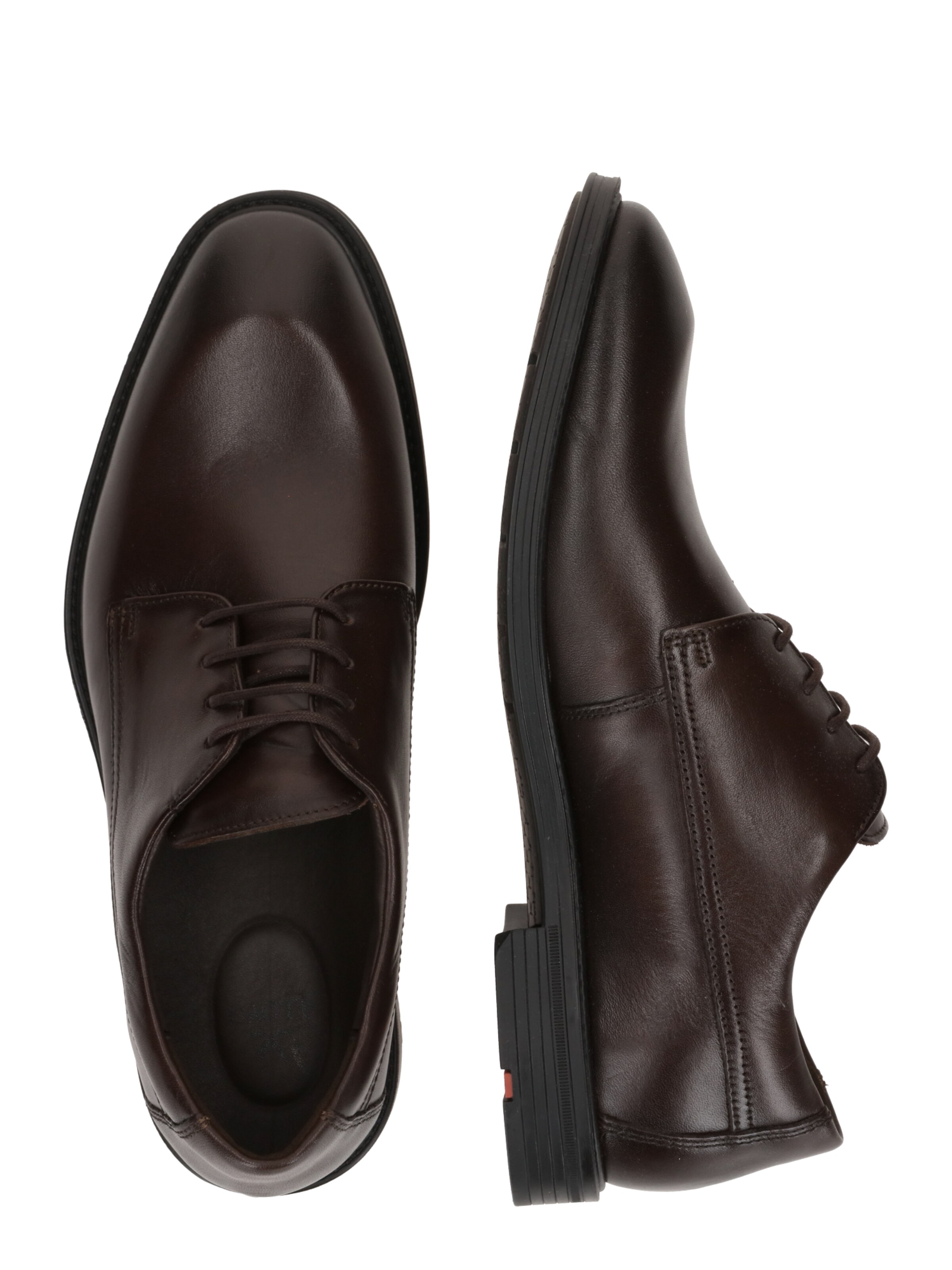 Scarpa stringata 'X-MOTION' di LLOYD in marrone