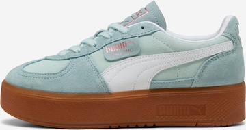 Baskets basses 'Palermo Elevata' PUMA en bleu : devant