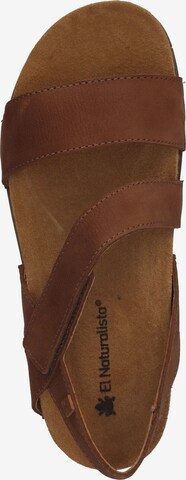 EL NATURALISTA Sandals in Brown