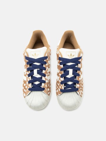 ADIDAS ORIGINALS Ниски маратонки 'Superstar II' в кафяво