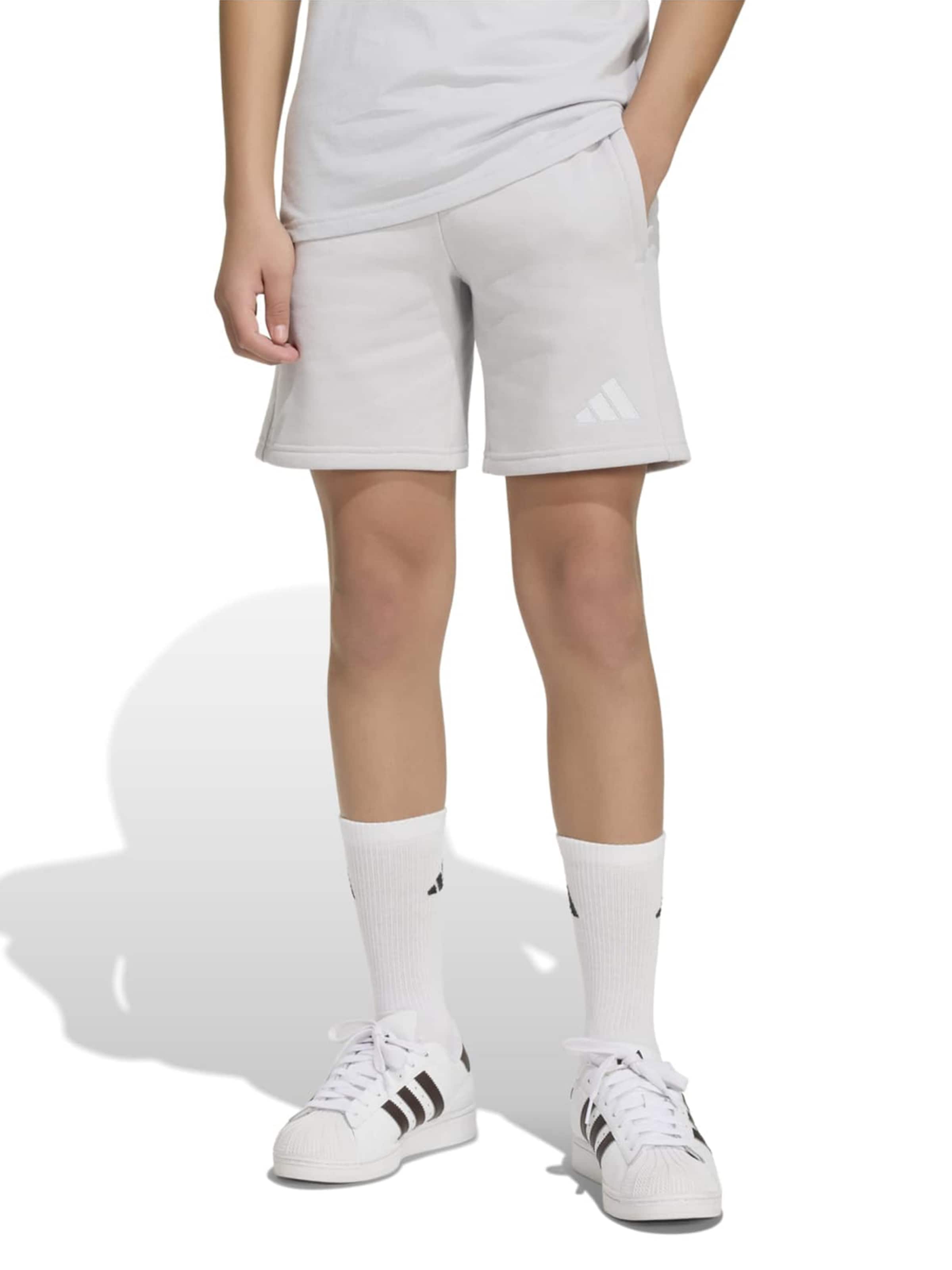 ADIDAS PERFORMANCE Szabványos Sportnadrágok 'ENT26' - szürke: elől