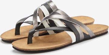 LASCANA T-Bar Sandals in Mixed colors