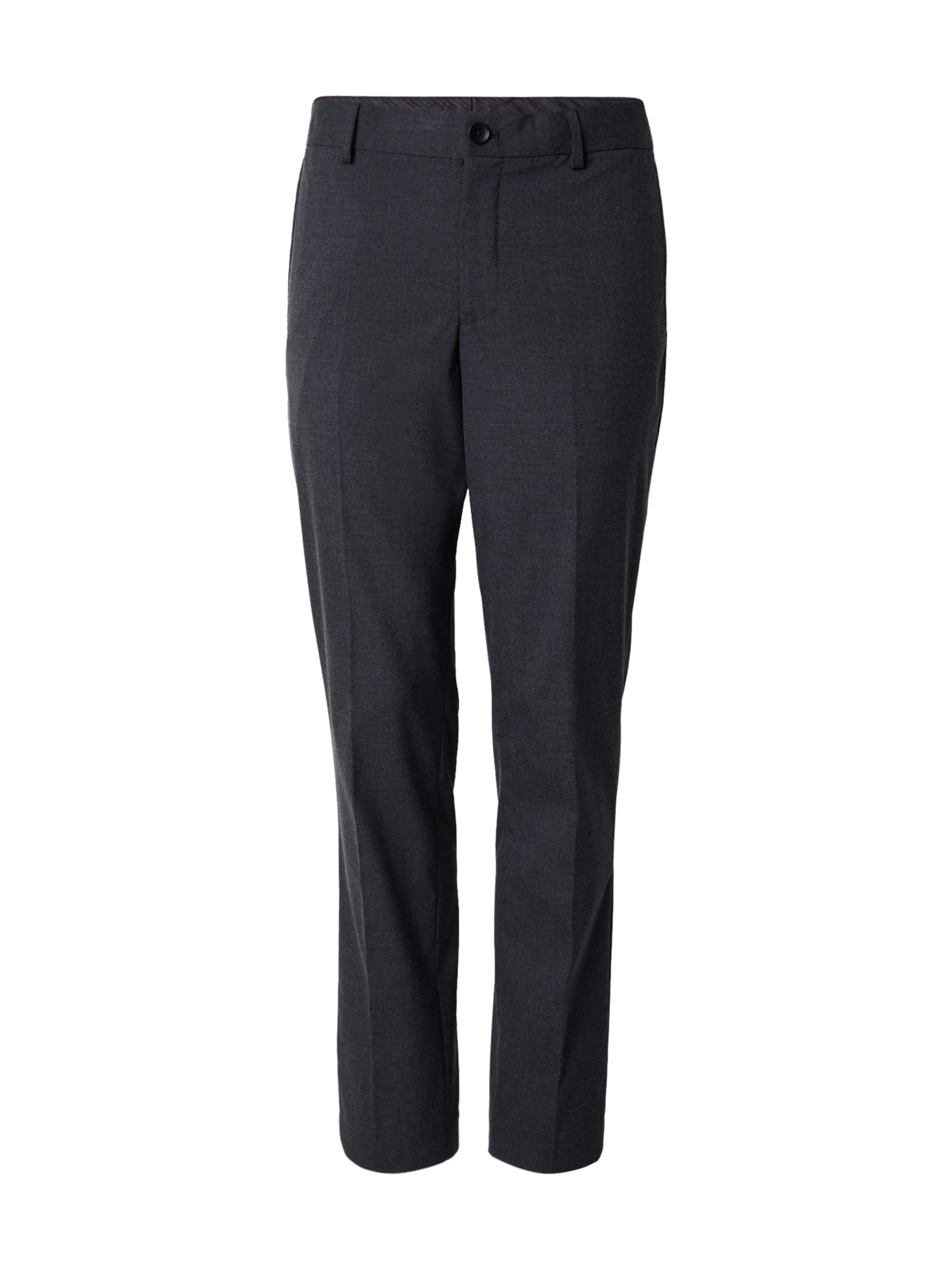 SELECTED Slim fit Pleated Pants 'SLHLIAM' in Grey: front