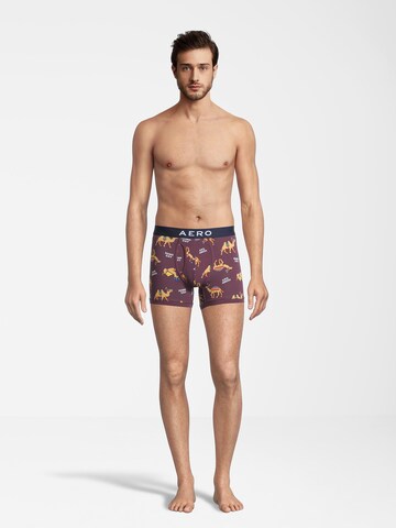 AÉROPOSTALE Boxershorts in Bruin