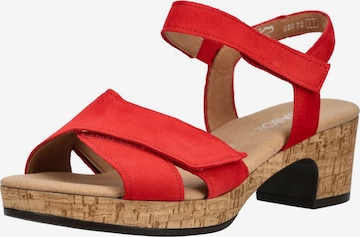 Sandalo con cinturino di GABOR in rosso: frontale