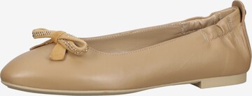 Nero Giardini Ballet Flats in Brown: front