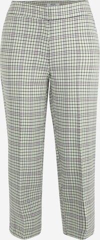 Dorothy Perkins Petite Regular Trousers with creases in Green: front