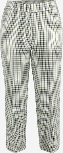 Pantaloni con piega frontale Dorothy Perkins Petite di colore verde pastello / nero / bianco, Visualizzazione prodotti
