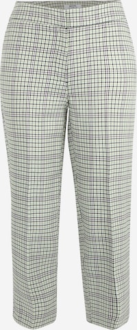 Dorothy Perkins Petite Pleated Pants in Green: front