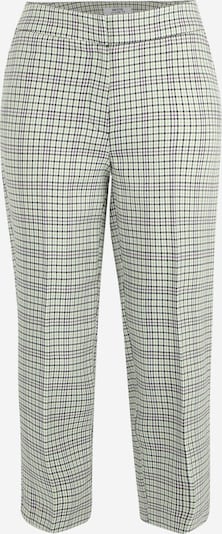Dorothy Perkins Petite Плиссированные брюки в Пастельно-зеленый / Черный / Белый, Обзор товара
