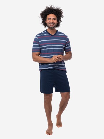 Ammann Pajama short 'Night & Home Cotton' in Blue