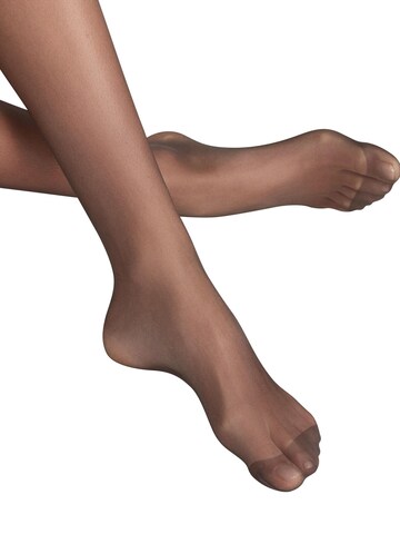 FALKE Tights 'Pure Matt' in Brown