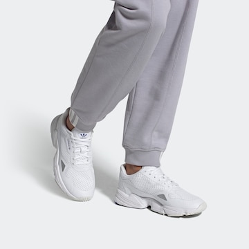 ADIDAS ORIGINALS Rövid szárú sportcipők 'FALCON' - fehér