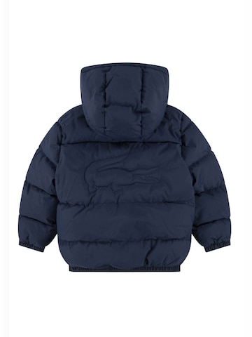 LACOSTE Winter jacket in Blue