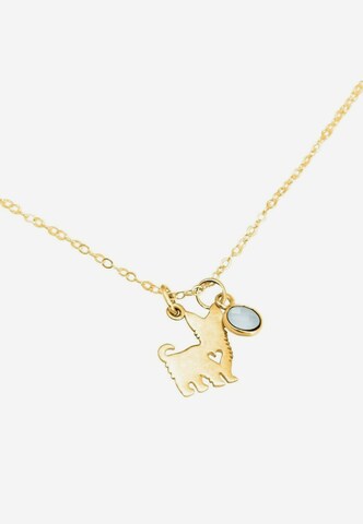 Gemshine Ketting in Goud