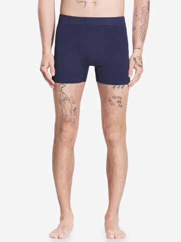 Prosto Boxer shorts in Mixed colors