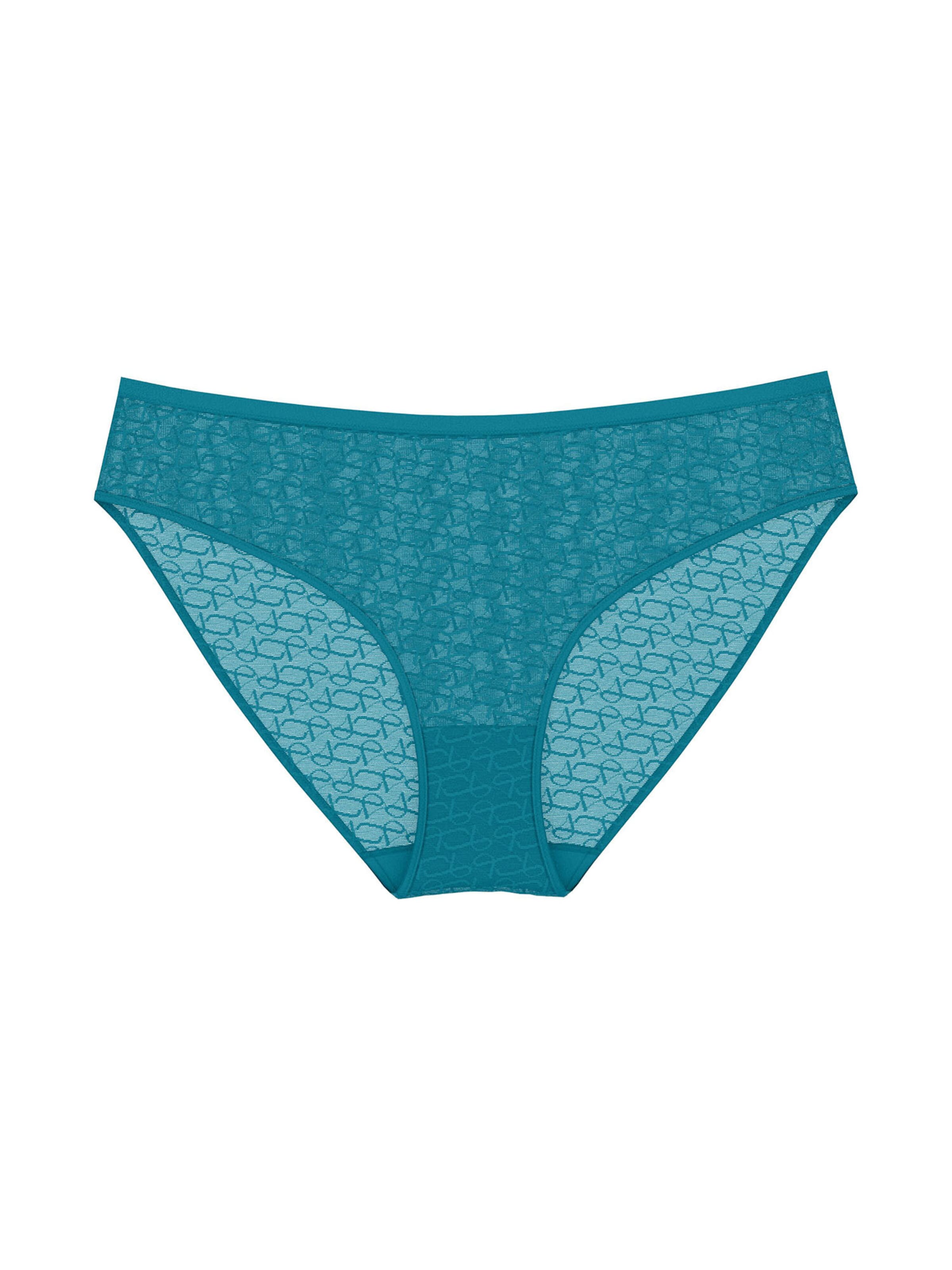 TRIUMPH Tai-Slip ' Red Label Triumph Signature Sheer ' in Blau: Vorderseite